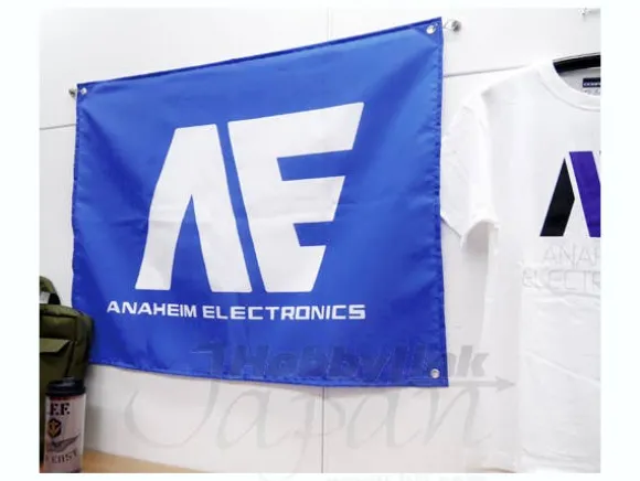 Anaheim Flag