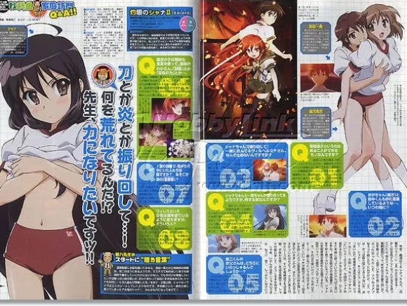 Animedia 2007/11