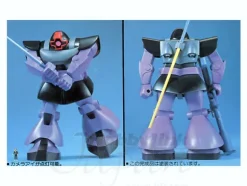 1/60 Dom