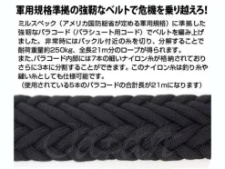 EFSF Survival Belt