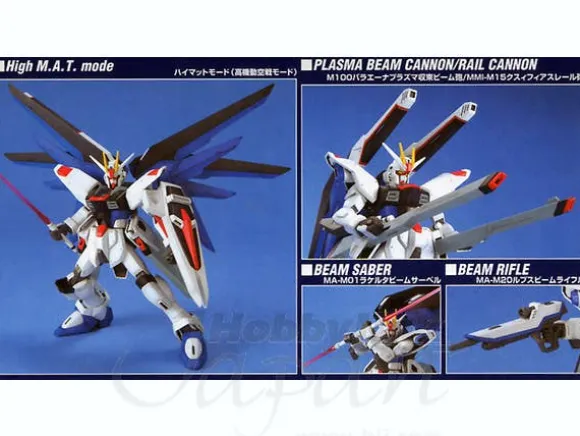 1/100 Freedom Gundam
