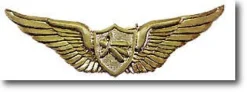 Gundam 0083 EFSF Pilot Badge