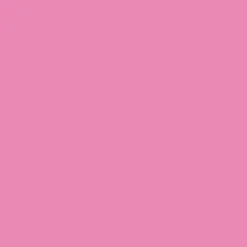 Gundam Marker: Gundam Fluorescent Pink
