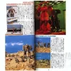 Gundam Mobile Suit Variation Hand Book Renewal Version