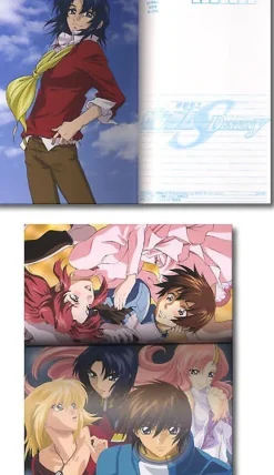 Gundam Seed Destiny Character Portrait Book
