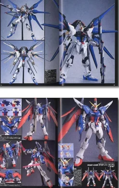 Gundam Seed Destiny Model #01