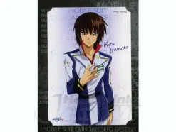 Gundam Seed Portrait: B Kira