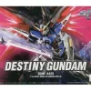 1/144 HG Destiny Gundam