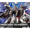 1/144 HG Freedom Gundam (Remaster)