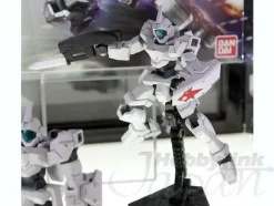 1/144 HG Genoace Custom
