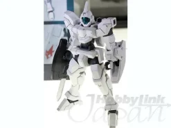 1/144 HG Genoace Custom