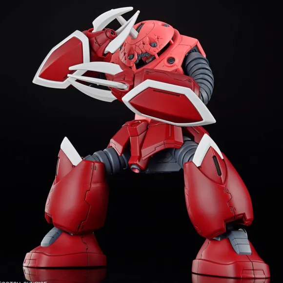 1/144 HG Z'Gok (Mobile Suit Gundam SEED FREEDOM Ver.)