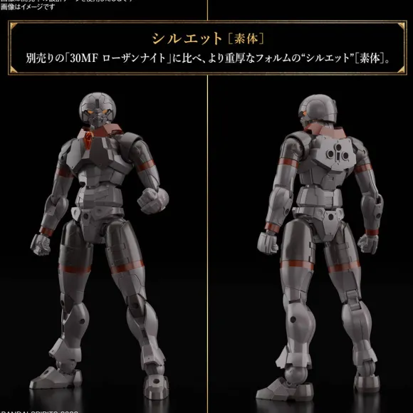 30MF Rozen Fighter