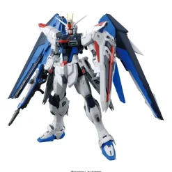 1/100 MG Freedom Gundam Ver.2.0