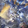 1/100 MG Gundam Astray Blue Frame D