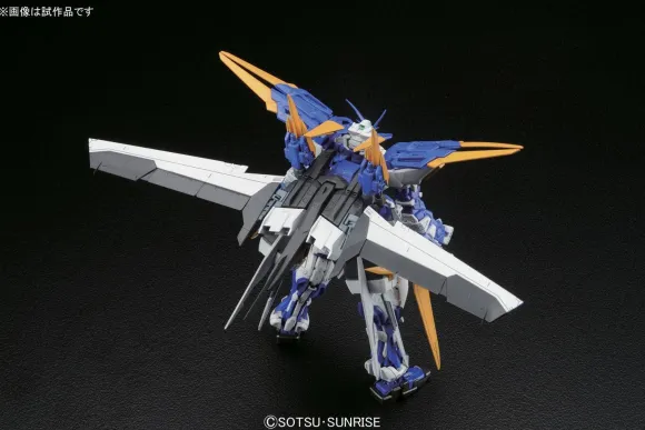 1/100 MG Gundam Astray Blue Frame D