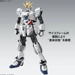 1/100 MG Narrative Gundam C-Packs Ver. Ka
