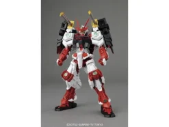 1/100 MG Sengoku Astray Gundam