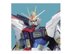 1/100 MG Strike Freedom Gundam Extra Finish Version