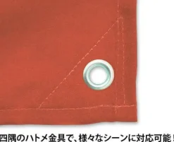 Mobile Suit Gundam: Hathaway's Flash: Mafty Flag
