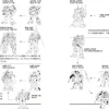 Mobile Suit Gundam Zeon Army Legacy