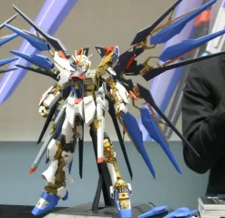 1/60 Perfect Grade Strike Freedom Gundam