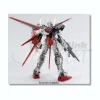 1/60 PG Aile Strike Gundam Clear Ver.
