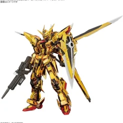 1/144 RG Akatsuki Gundam (Oowashi Pack)