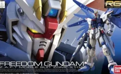1/144 RG ZGMF-X10A Freedom Gundam