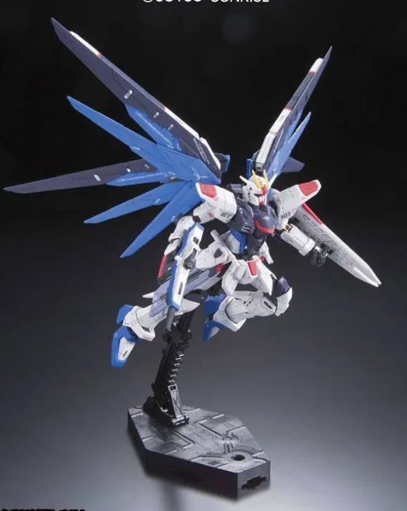 1/144 RG ZGMF-X10A Freedom Gundam