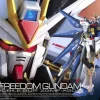 1/144 RG ZGMF-X20A Strike Freedom Gundam