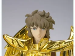 Saint Seiya Myth Cloth Appendix Sagittarius Aioros