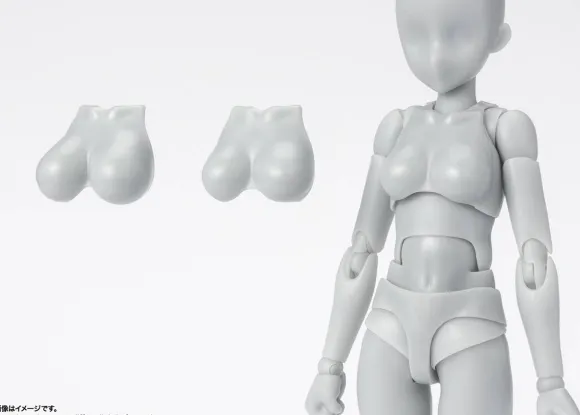 S.H.Figuarts Body-chan -School Life- Edition DX SET (Gray Color Ver.)