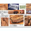1/35 U.C. Hard Graph EFGF M61A5 Main Battle Tank "Semovente" Phantom Element