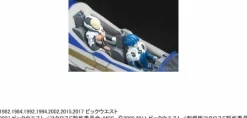 1/72 VF-31J Siegfried (Macross 35th Anniversary Painting)