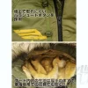 Zeon N3-B Jacket Moss XL