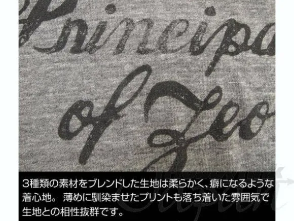 Zeon Raglan T-Shirt Heather Gray x Dark Gray L